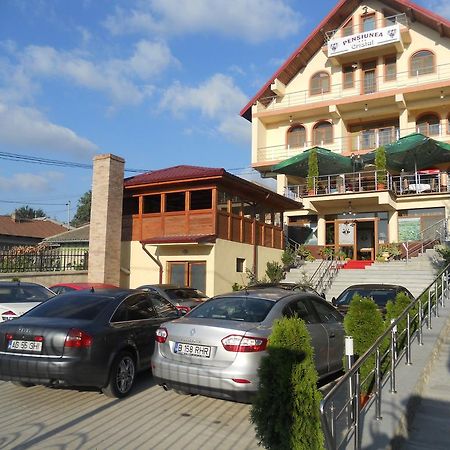 Pensiunea Cristal Tulcea Exterior foto